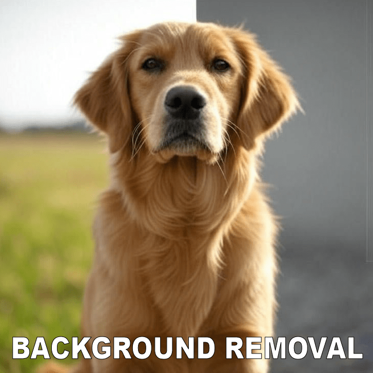 Image Background Removal and Editing - Altered Timber